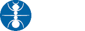 Karınca İnşaat
